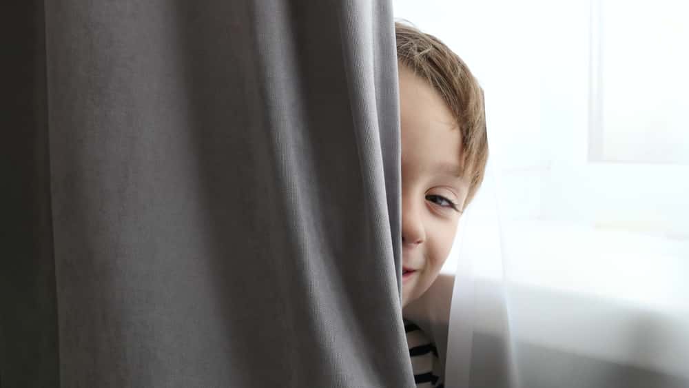 Hide And Seek Goes Wrong facts