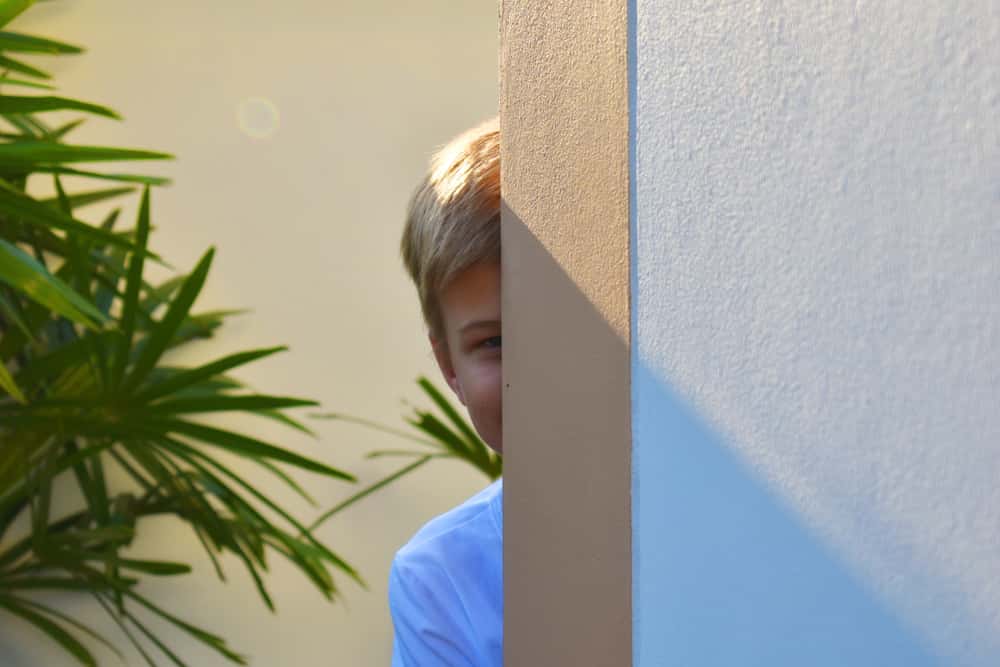 Hide And Seek Goes Wrong facts