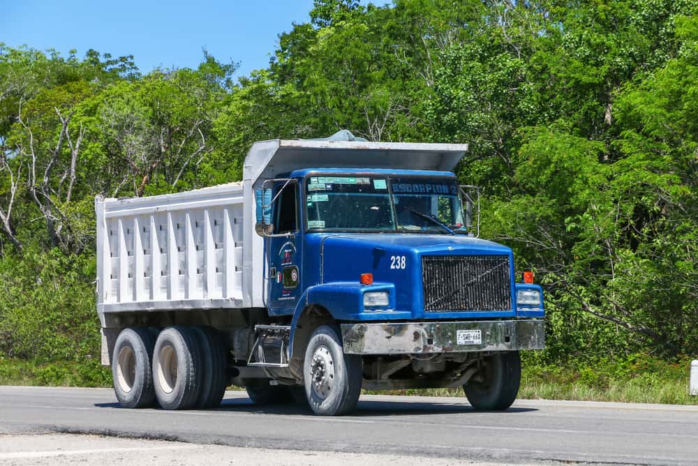 Should have been fired