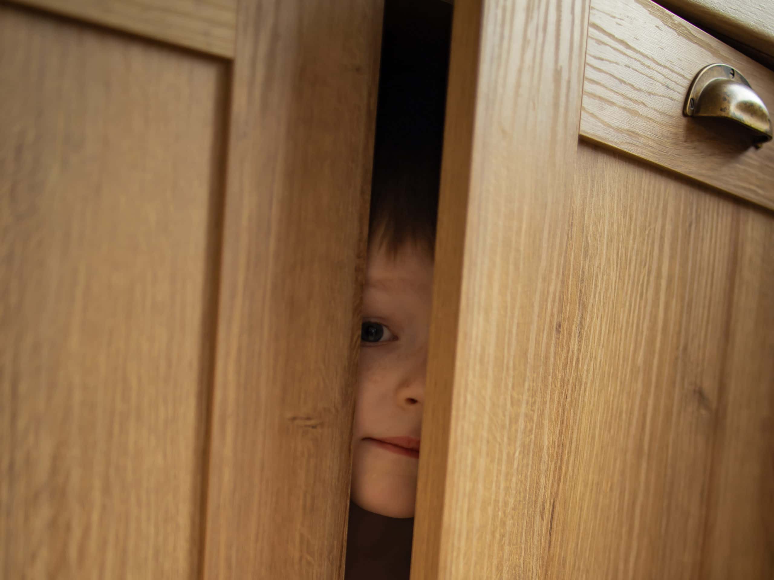 Hide And Seek Goes Wrong facts 