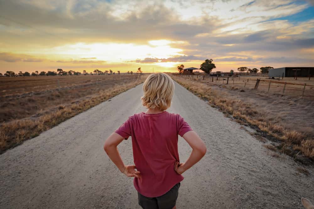 Hide And Seek Goes Wrong facts 