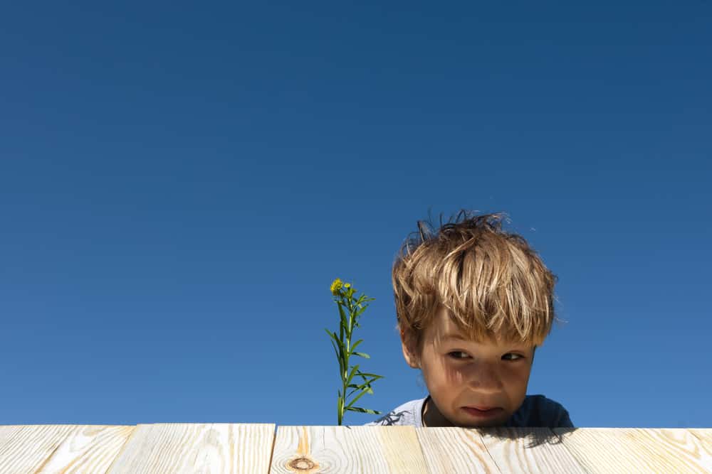 Hide And Seek Goes Wrong facts