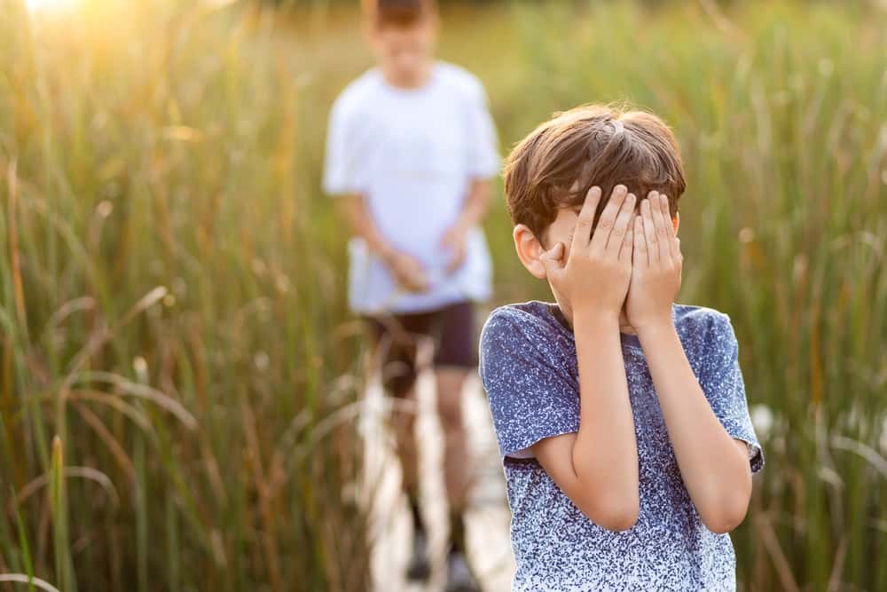 Hide And Seek Goes Wrong facts 