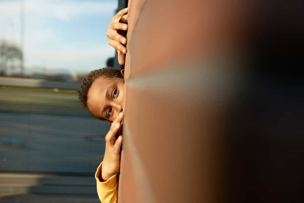 Hide And Seek Goes Wrong facts