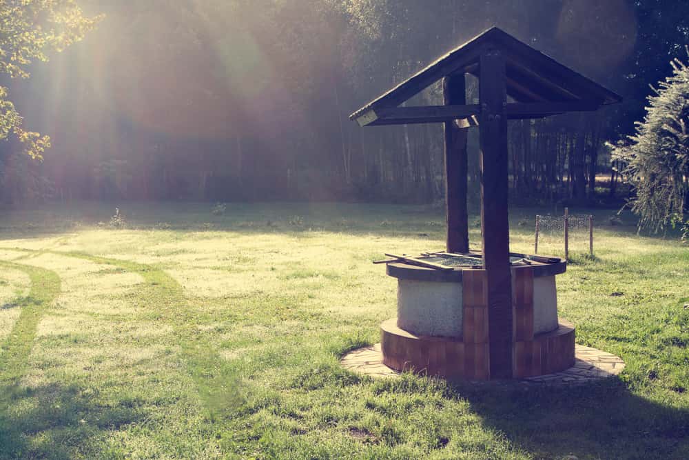 Hide And Seek Goes Wrong facts