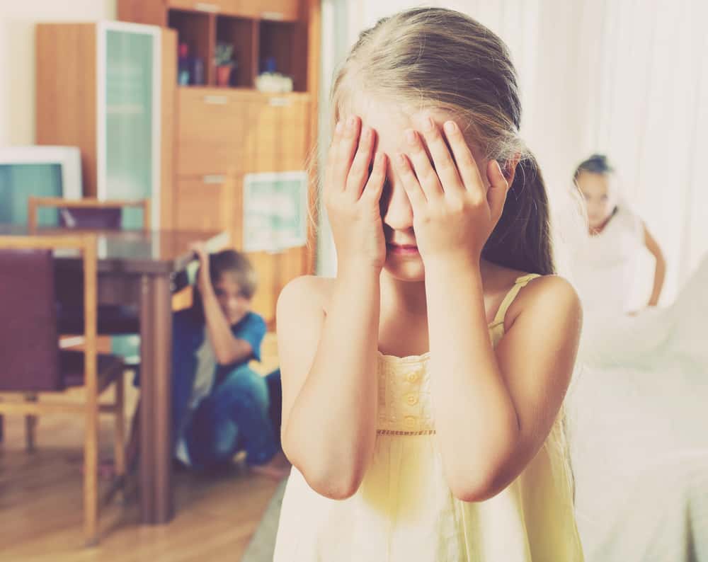 Hide And Seek Goes Wrong facts