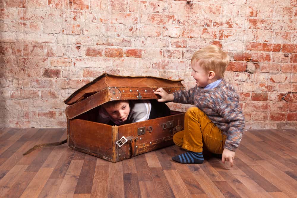 Hide And Seek Goes Wrong facts