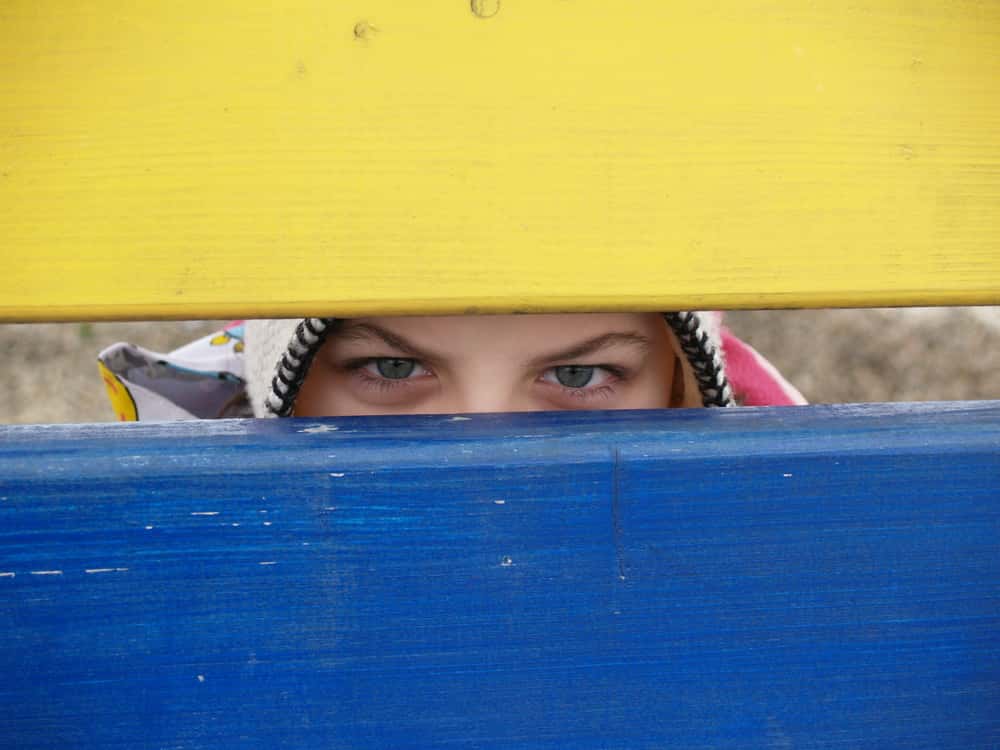 Hide And Seek Goes Wrong facts