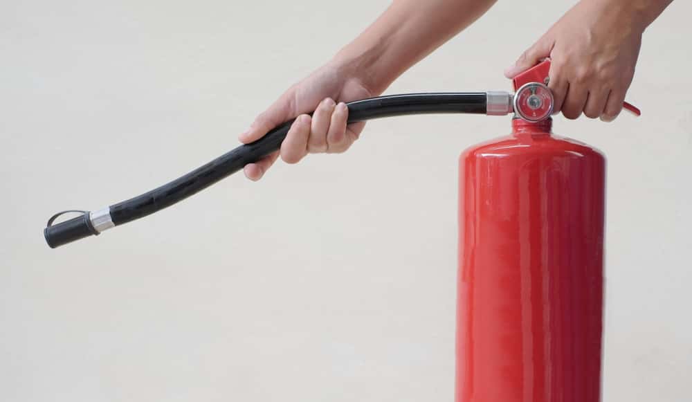 Fast Food Employees Stories