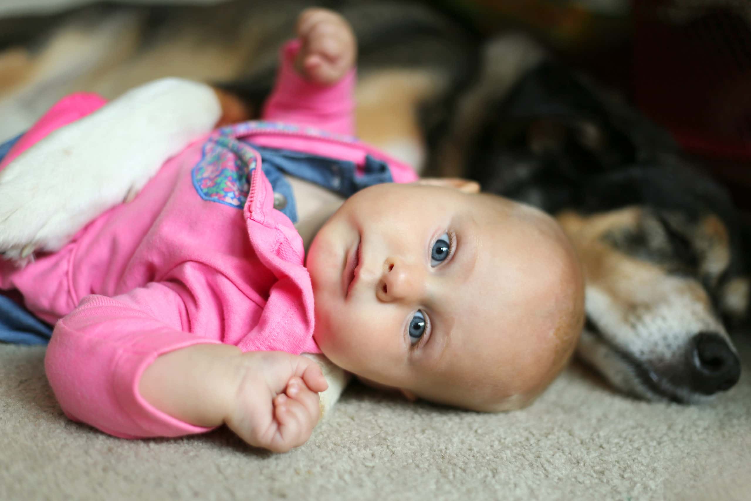 Home Alone Creeped Out facts 