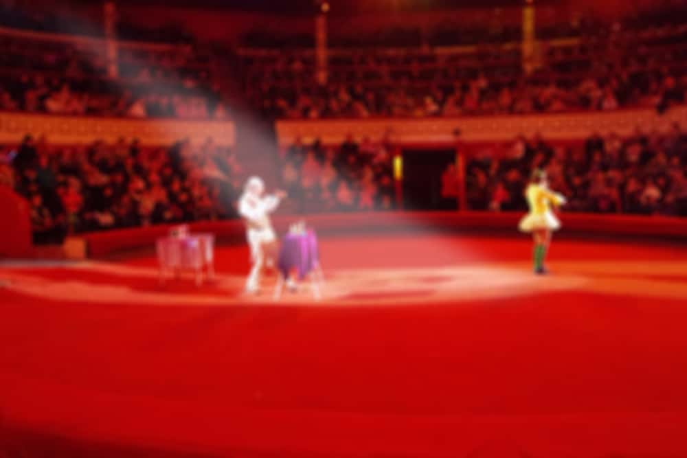 Embarrassing moments