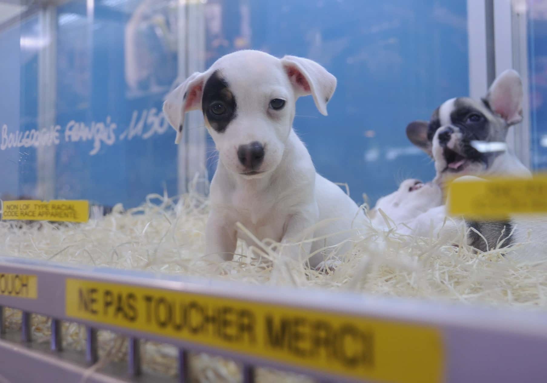 Woke Up In A Hospital