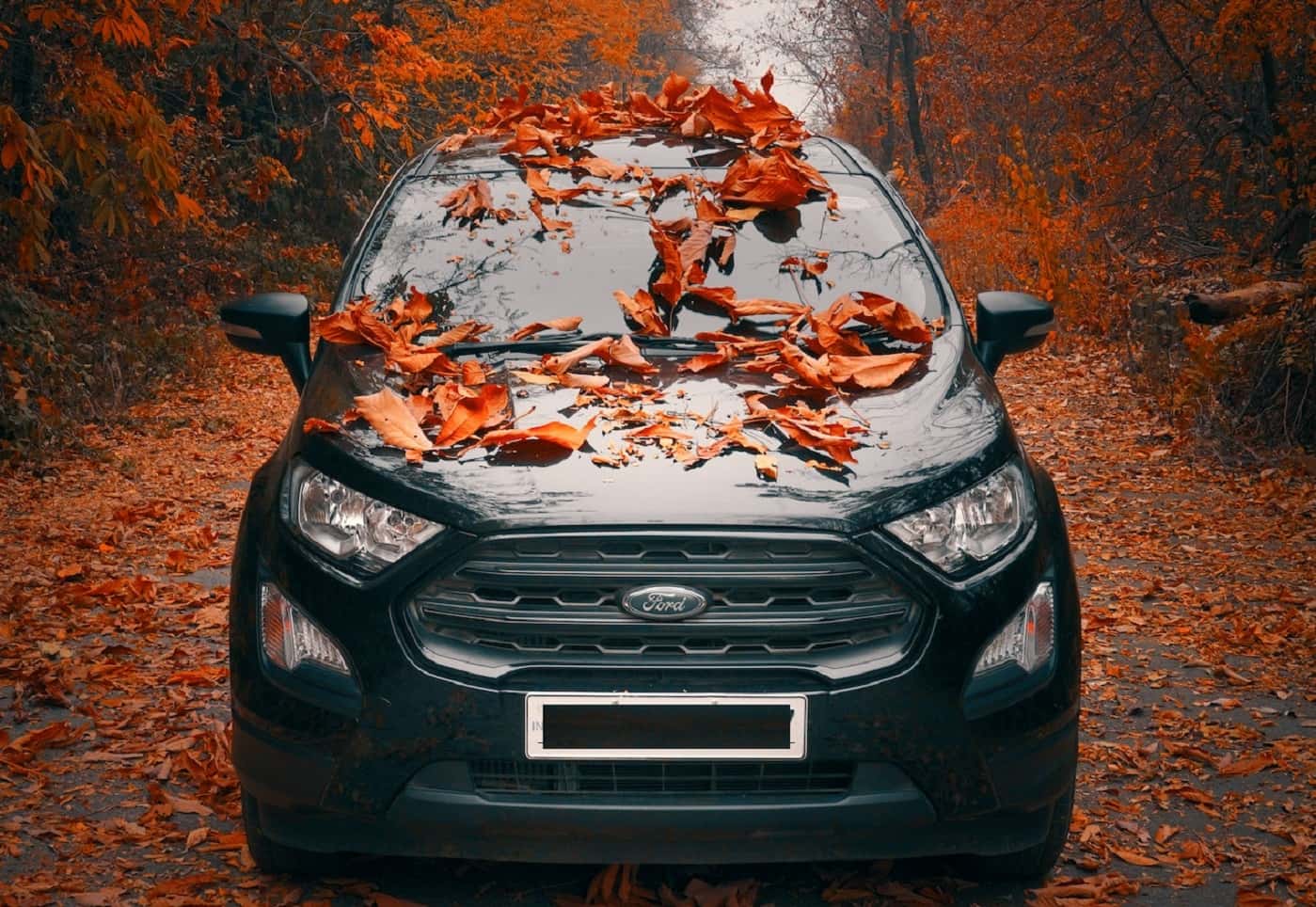 In The Heat Of The Moment