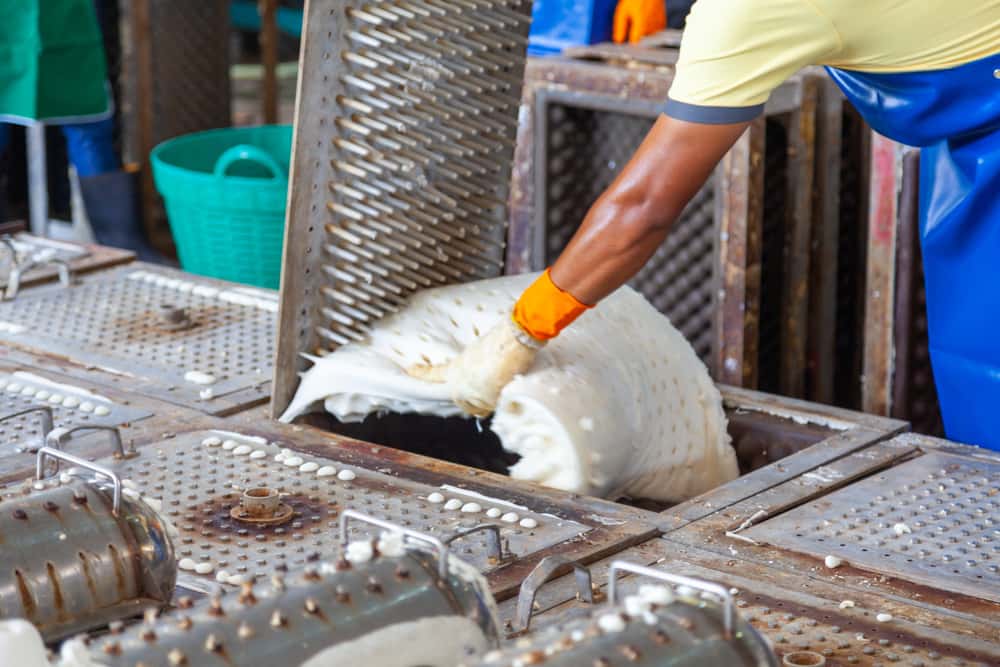 Company Secrets Exposed