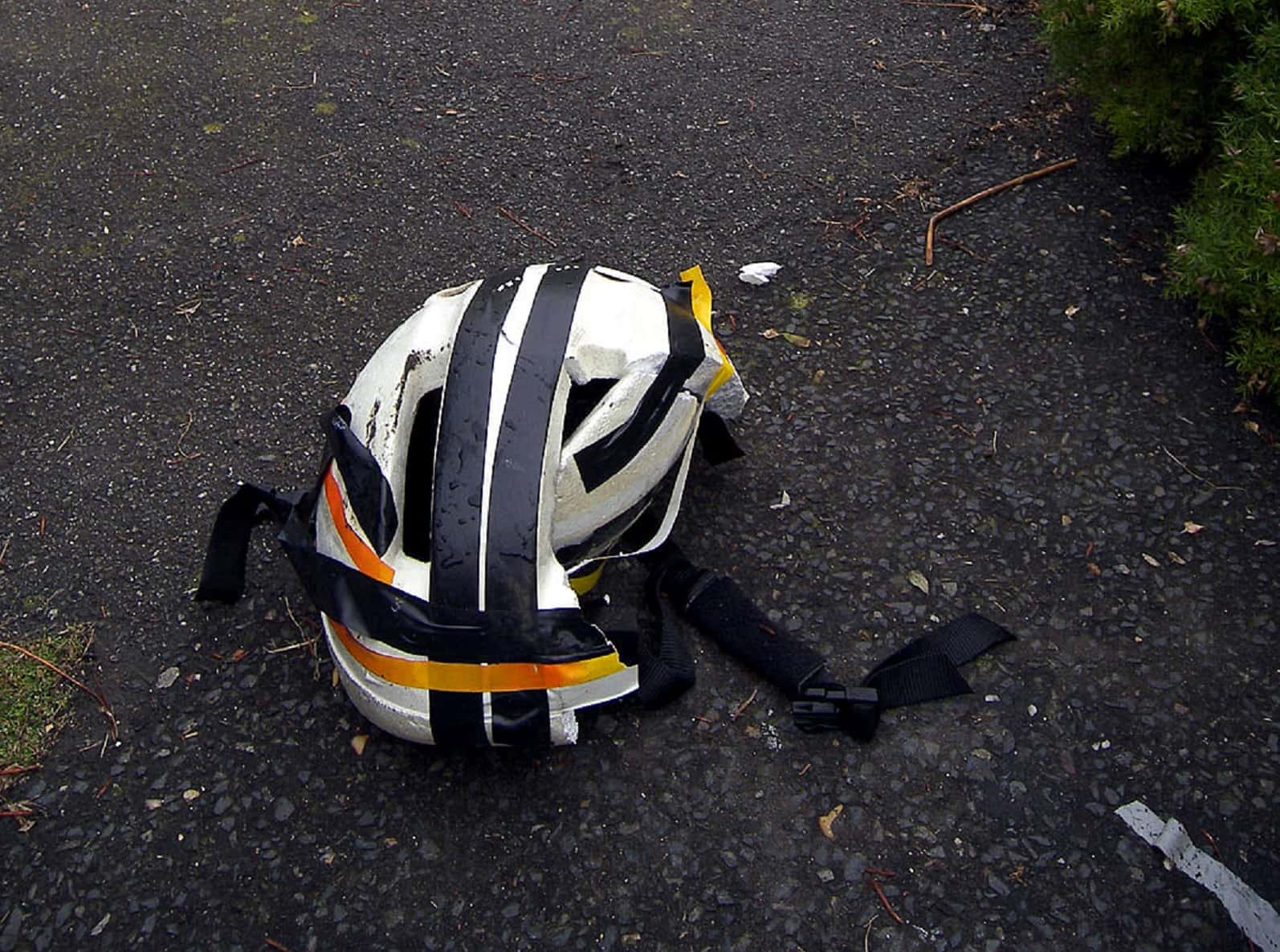 Miraculous Survival Stories