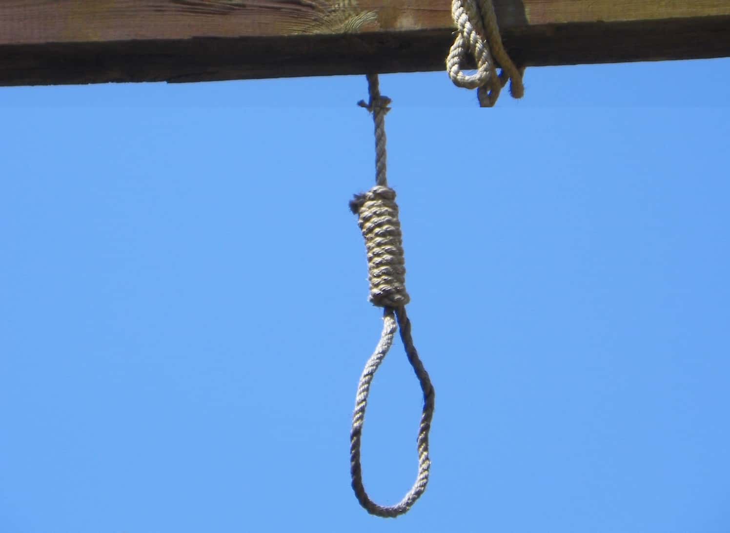 Shocking Things Next Door