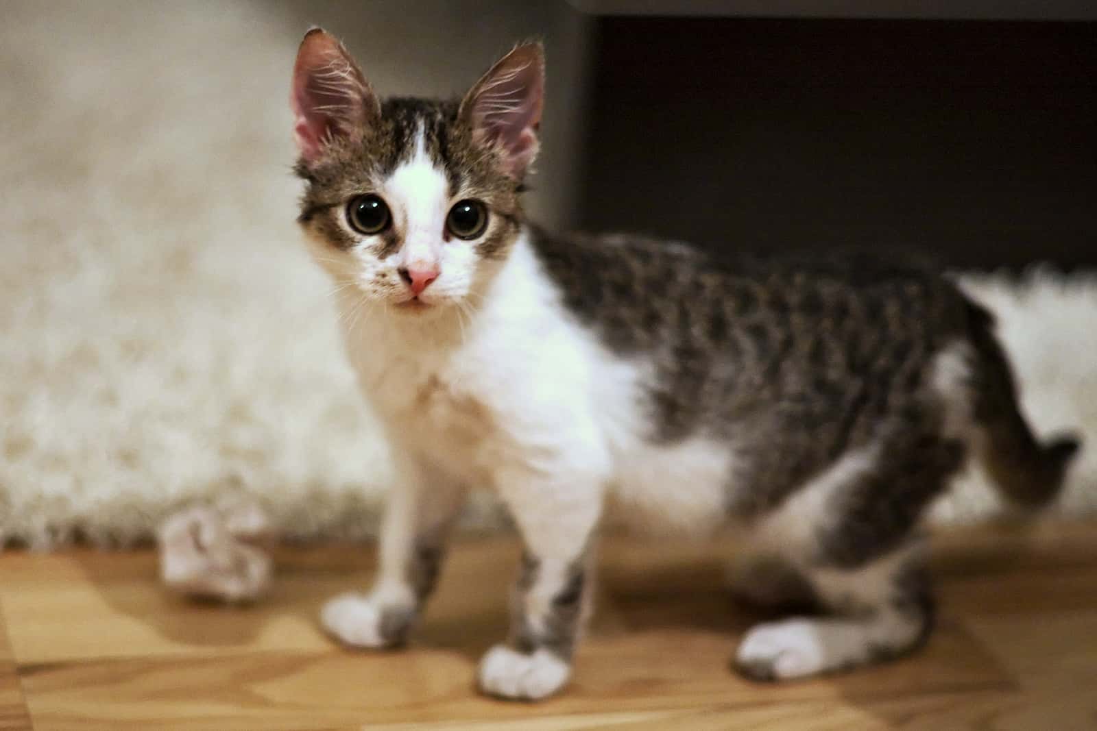 Marriages gone wrong