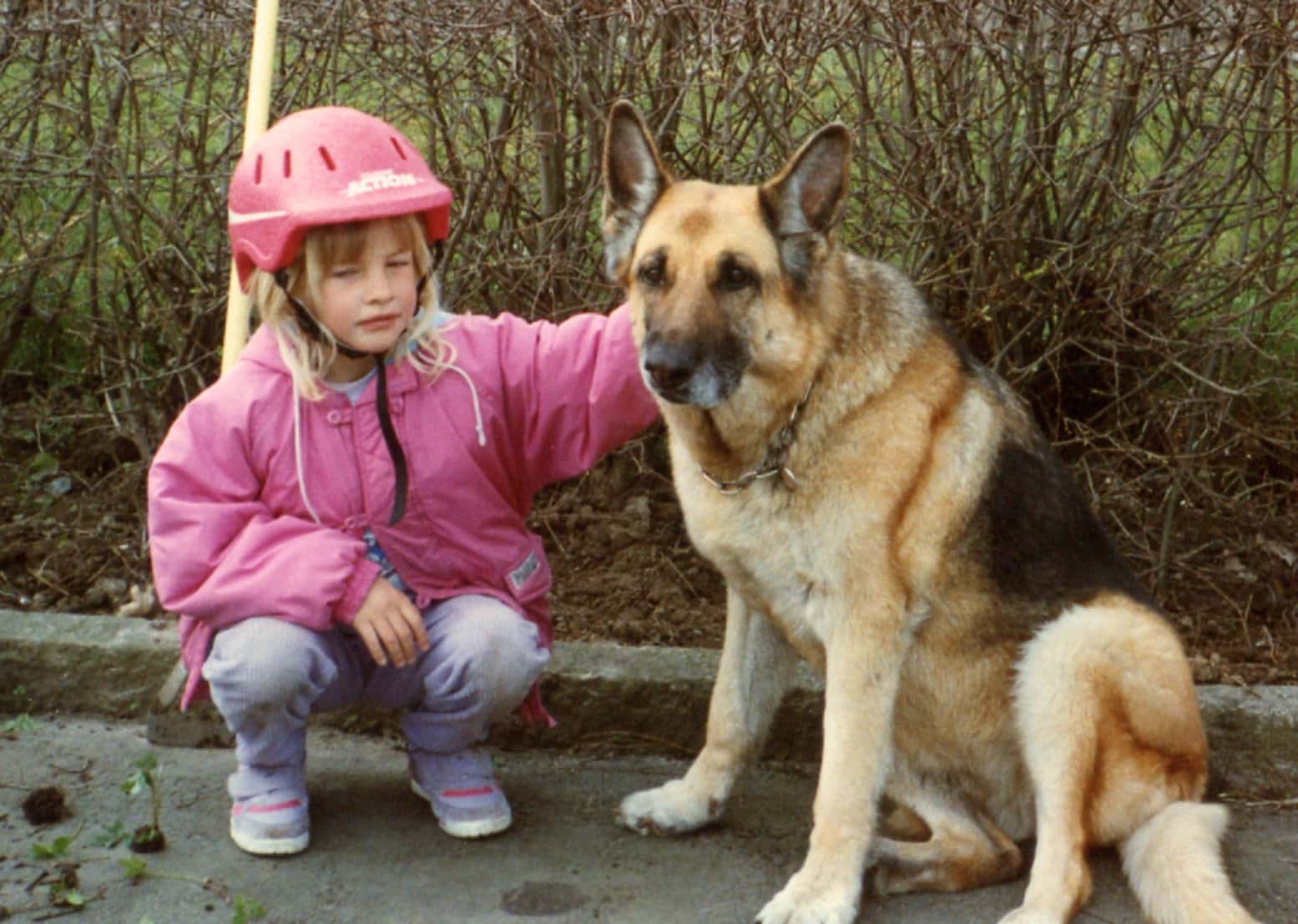 These Animals Changed Lives