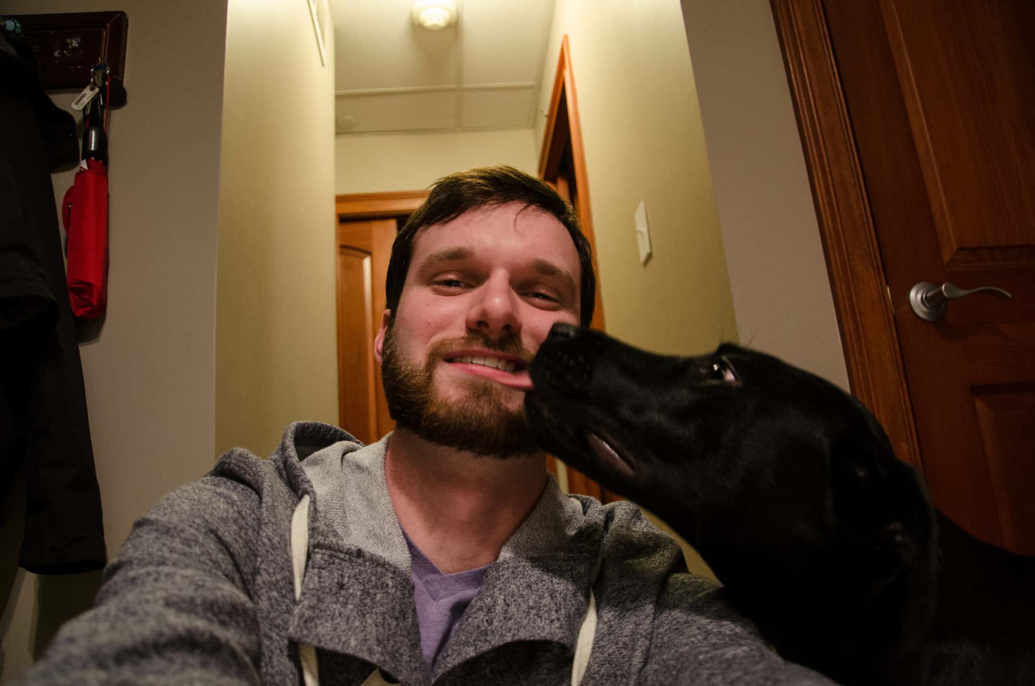 These Animals Changed Lives