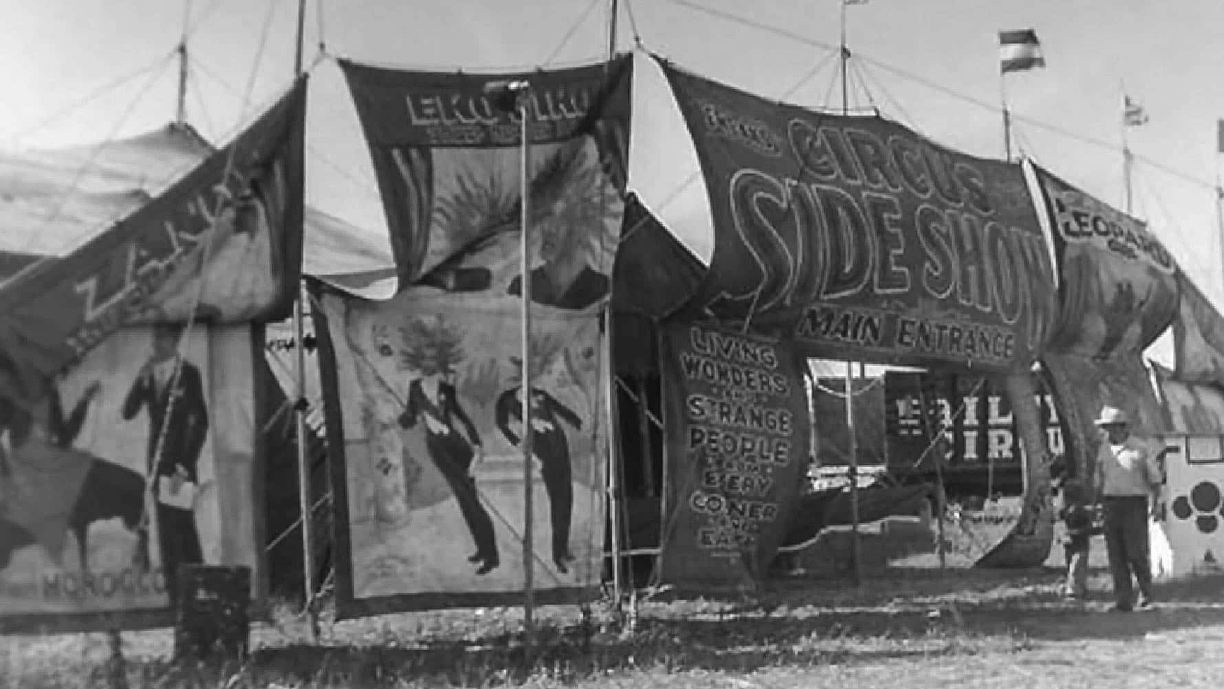 George and Willie Muse facts