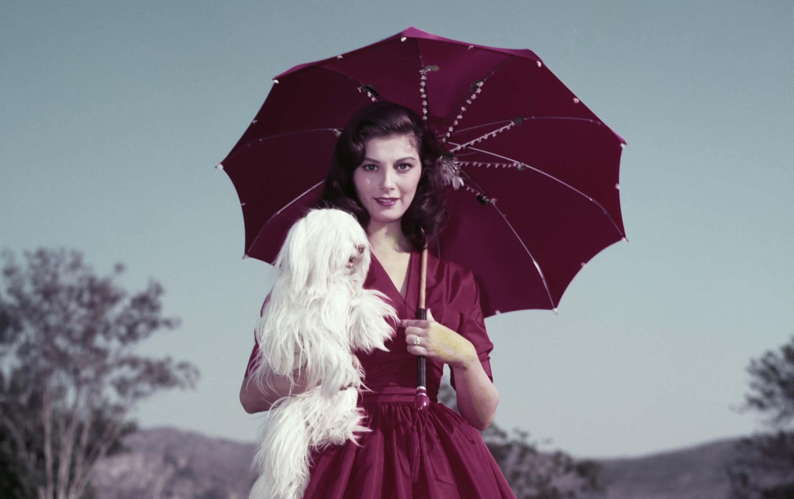 Pier Angeli Facts