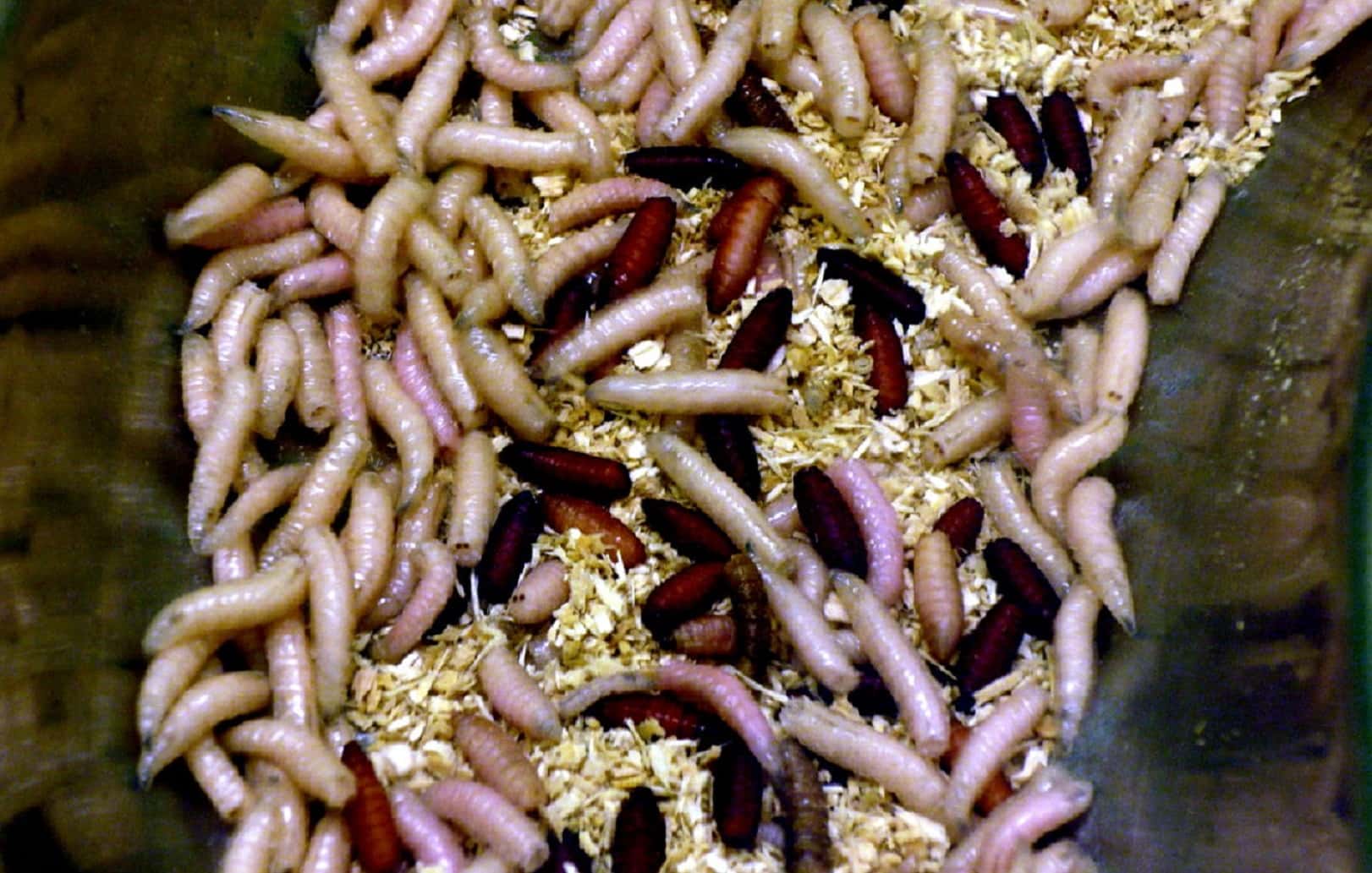 True Medical Plot Twists