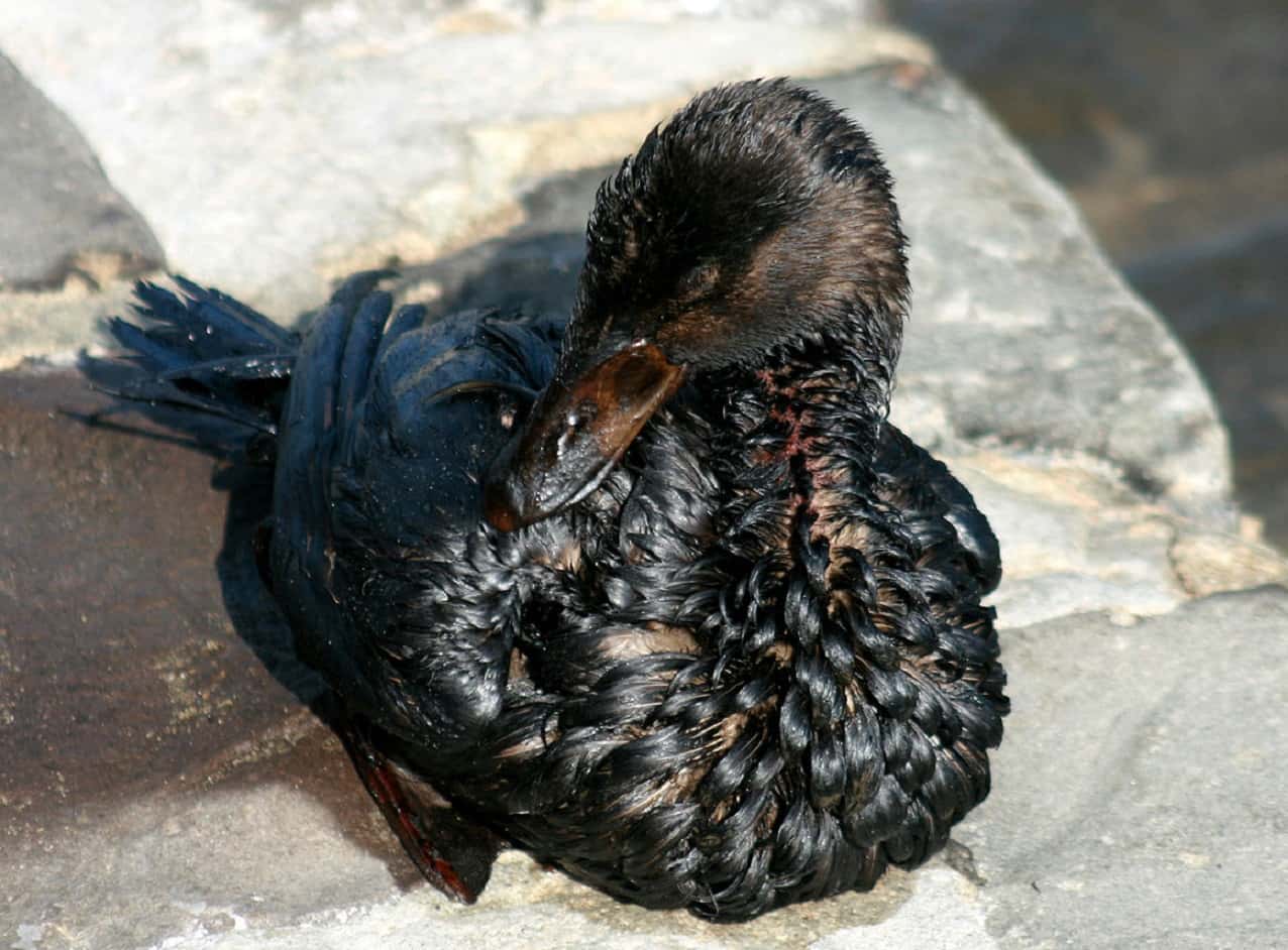 Ex-Employers’ Hidden Secrets