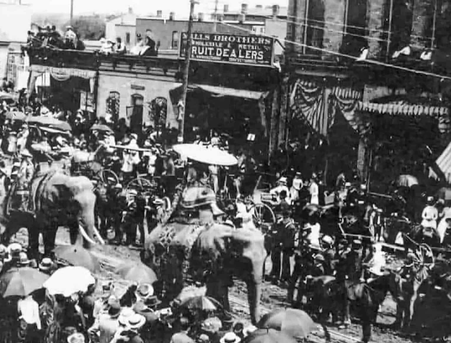 George and Willie Muse facts