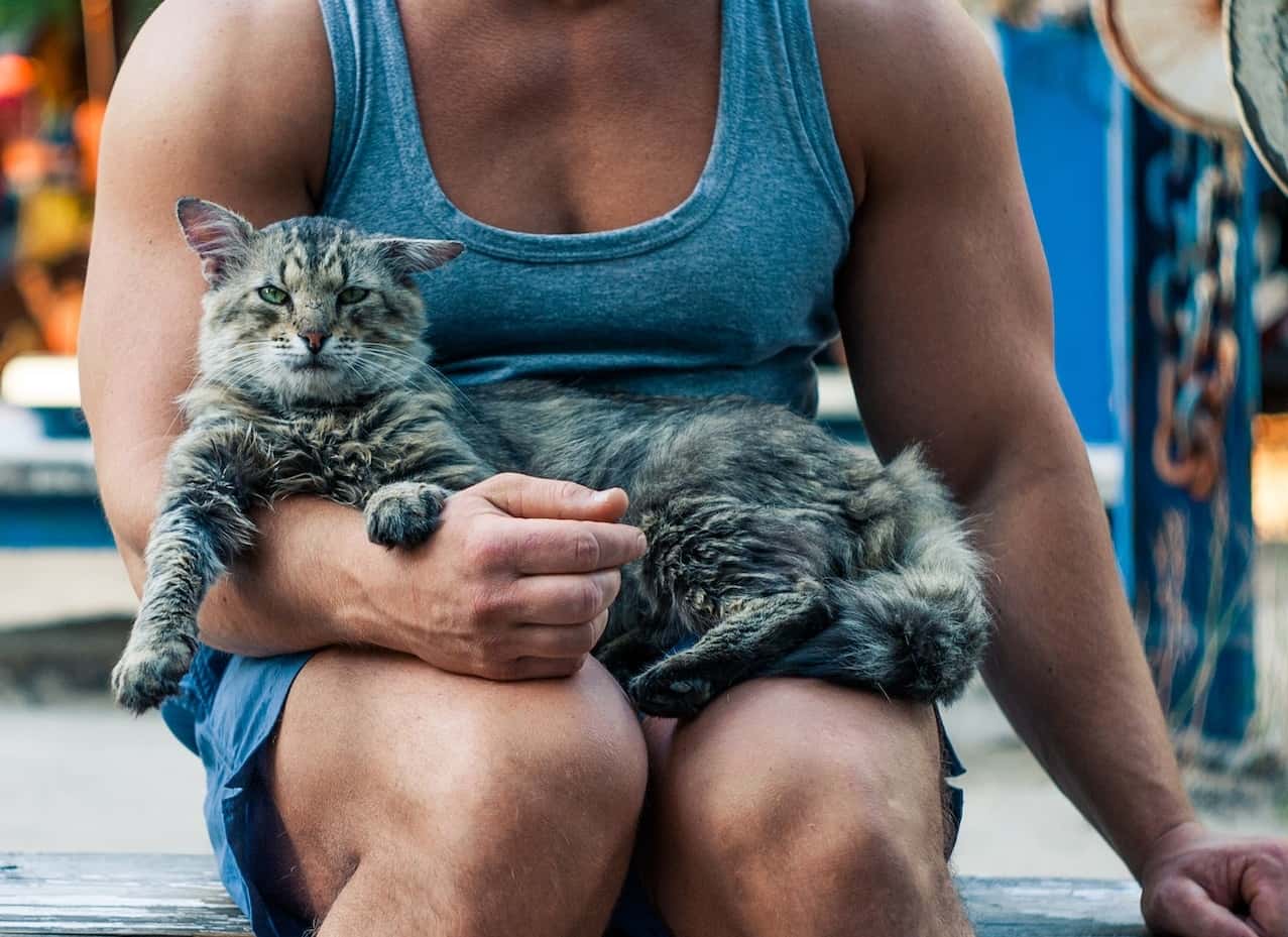 These Animals Changed Lives