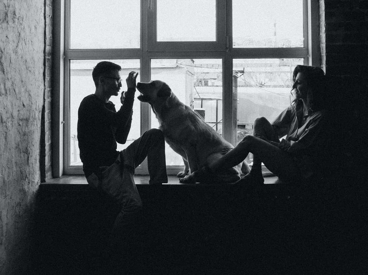 These Animals Changed Lives