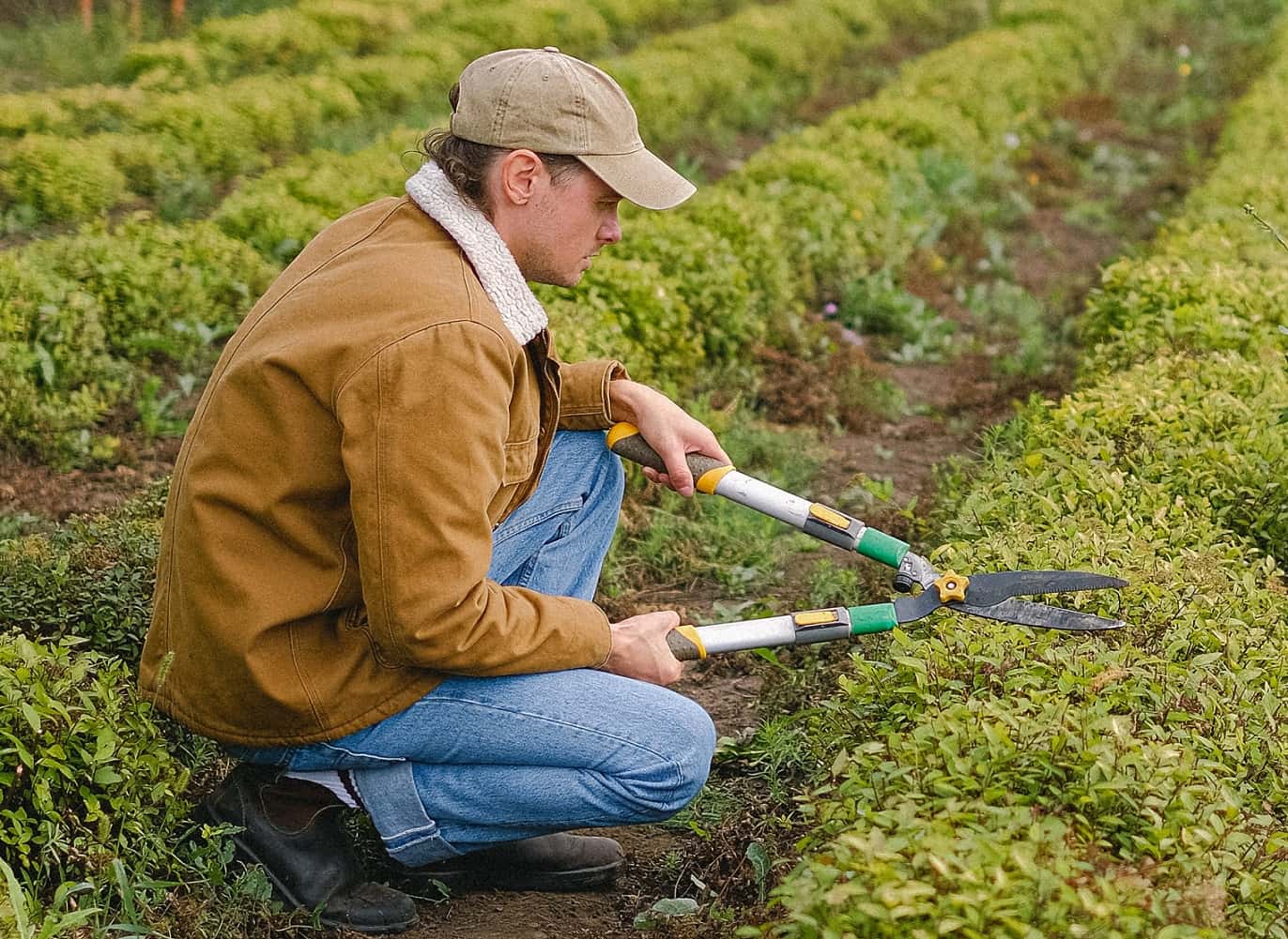 Dark Secrets Unleashed