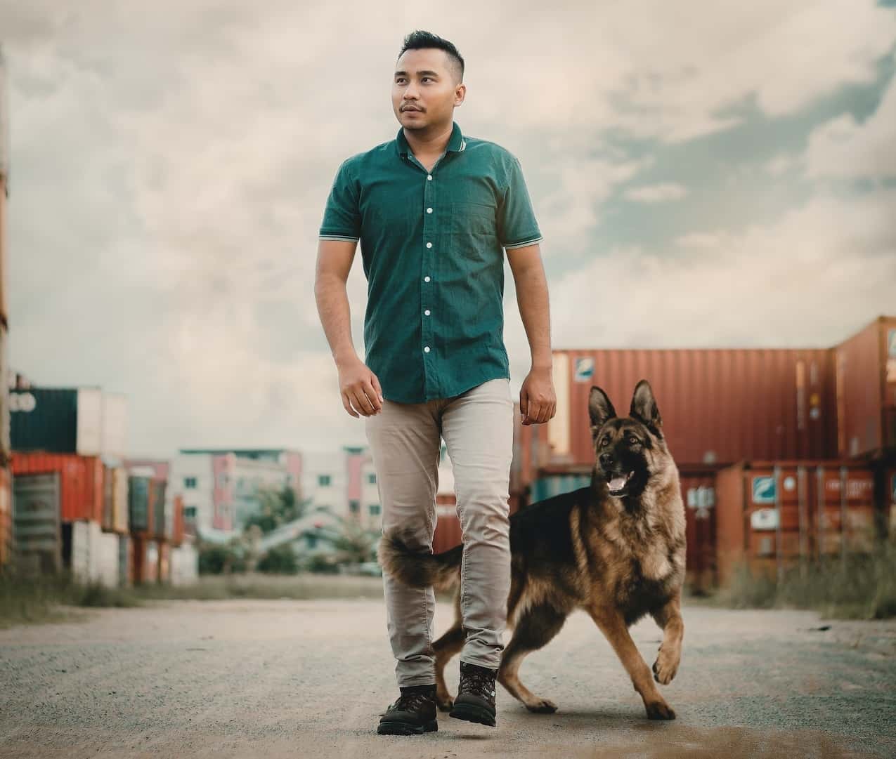 These Animals Changed Lives