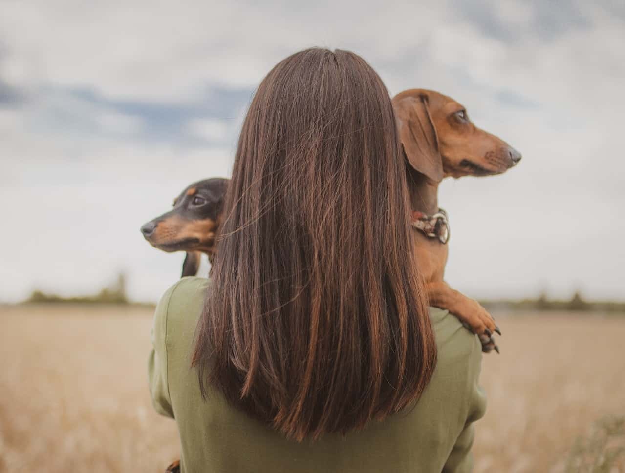These Animals Changed Lives