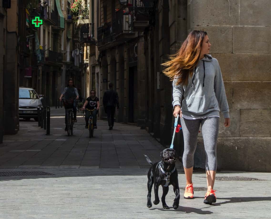 These Animals Changed Lives