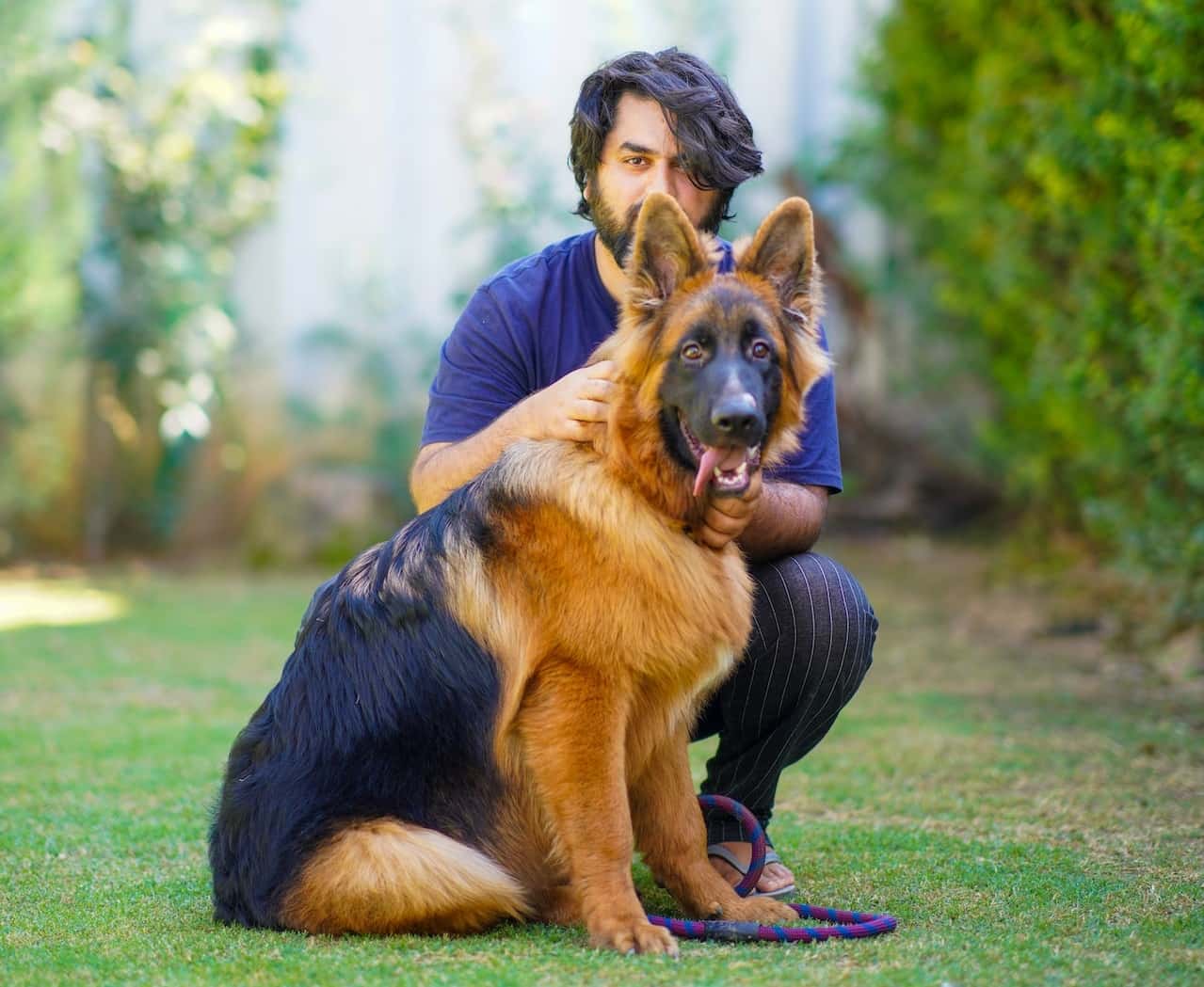 These Animals Changed Lives