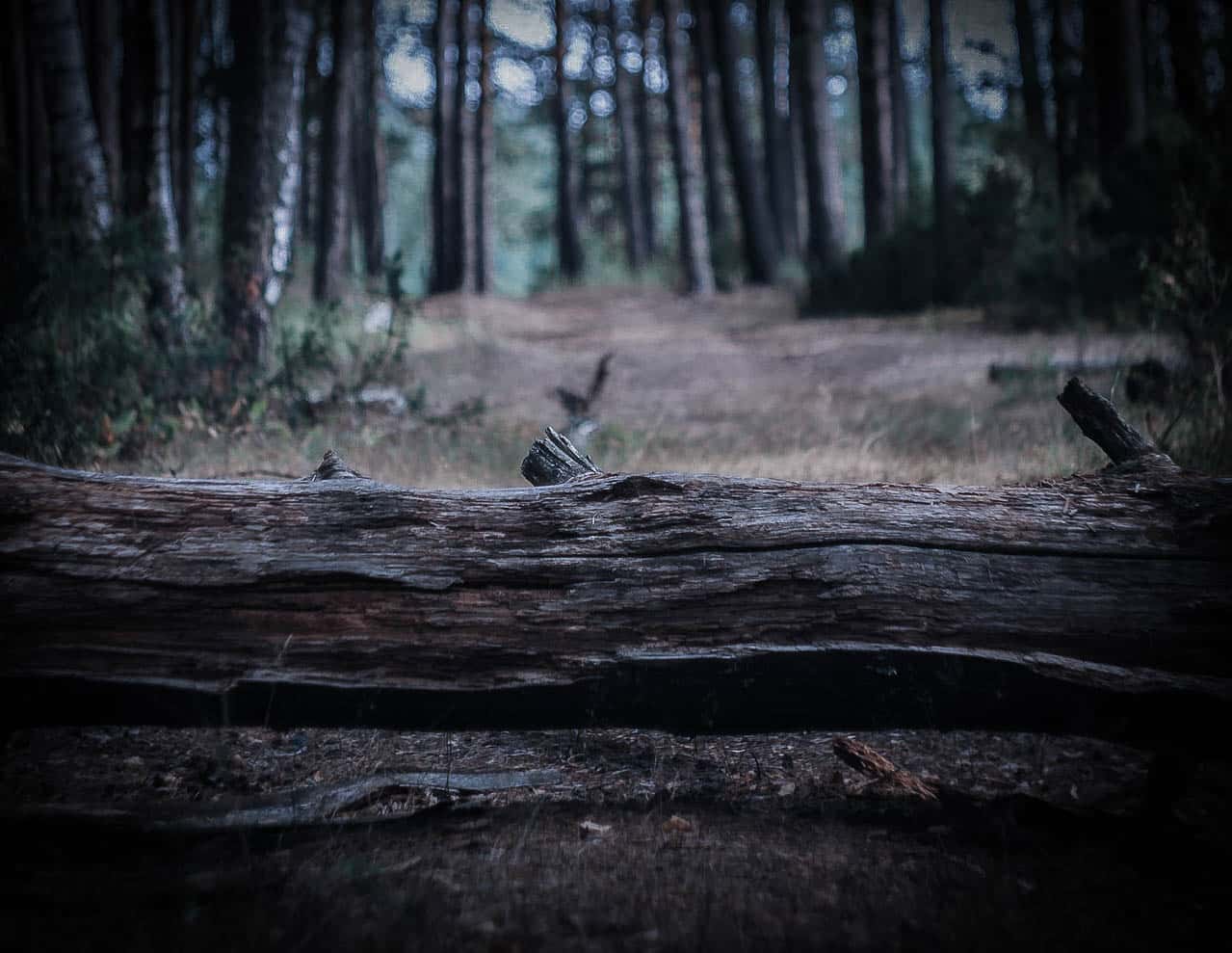 Chilling Night Shift Encounters