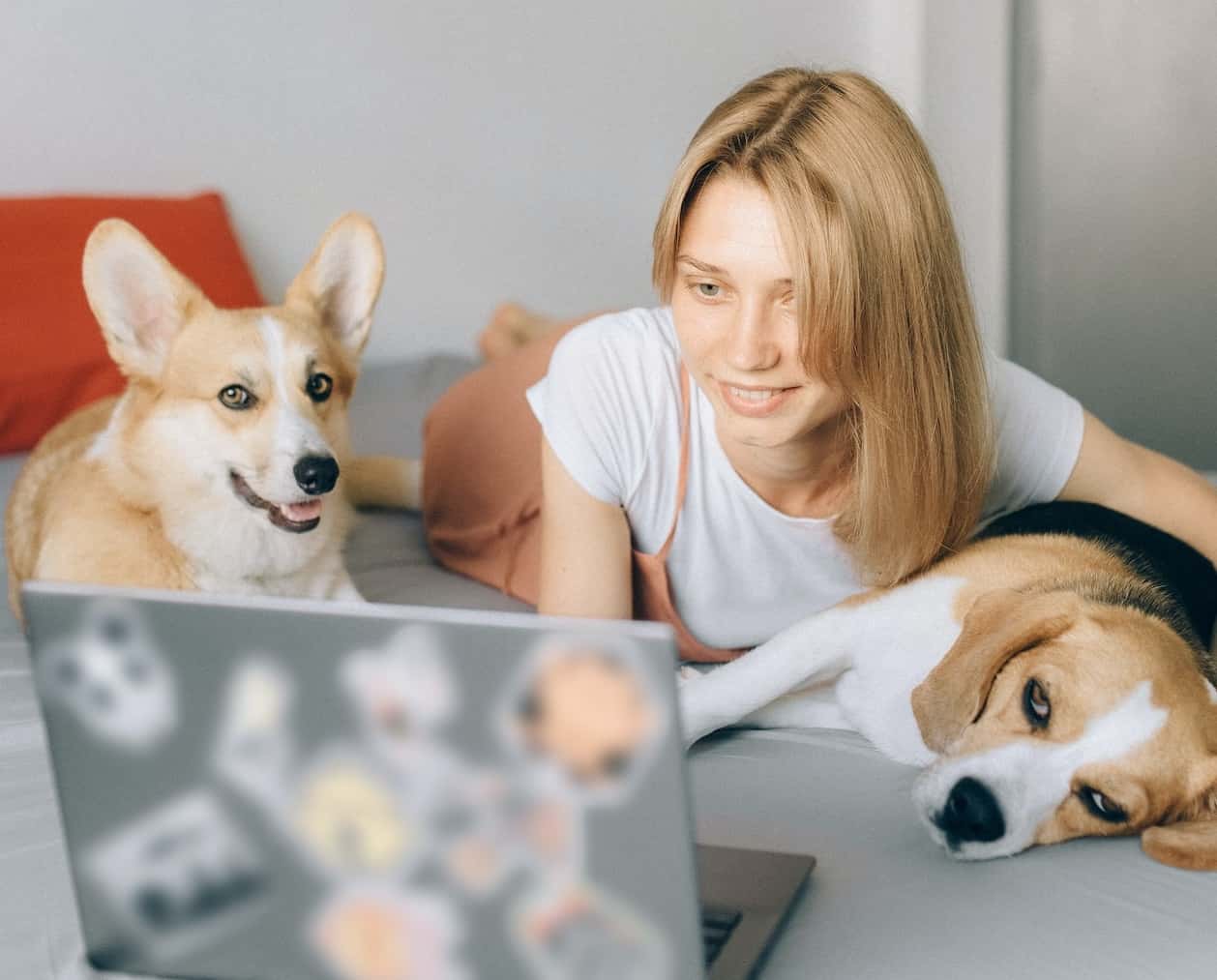 These Animals Changed Lives