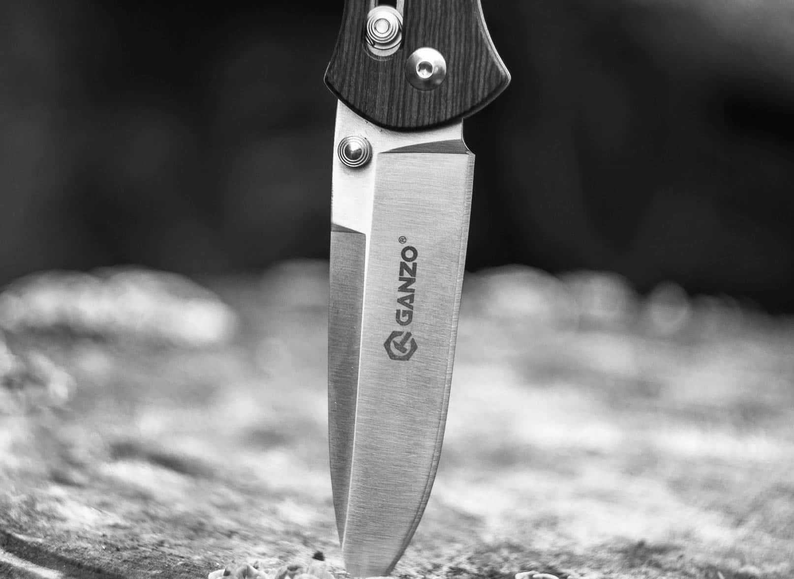 The Rudest Guests Of All Time