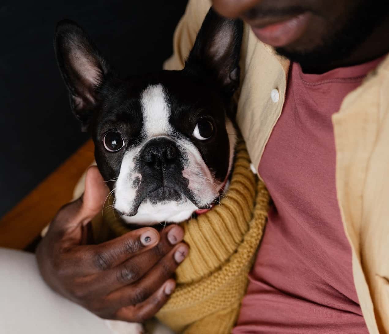 These Animals Changed Lives