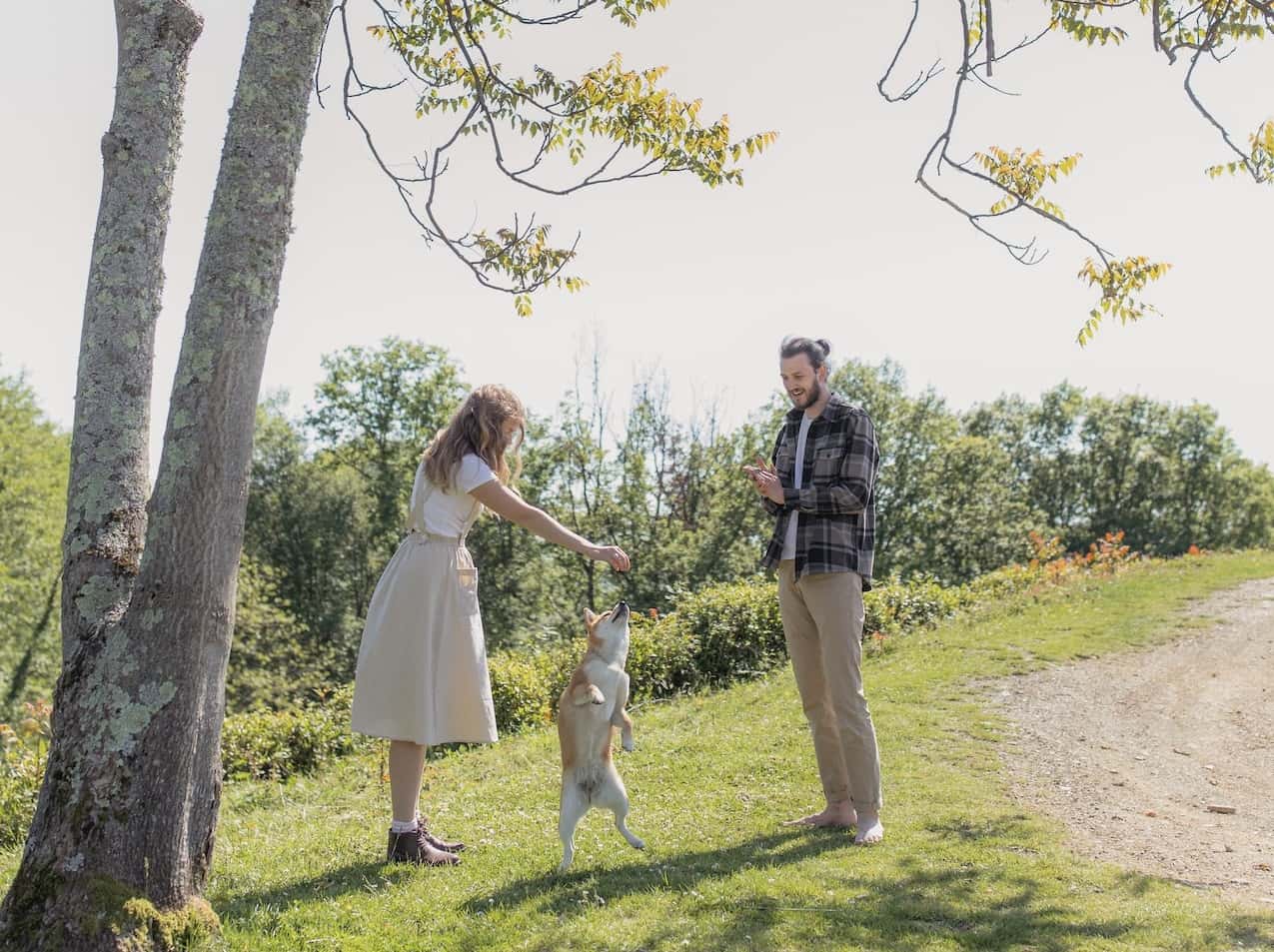 These Animals Changed Lives