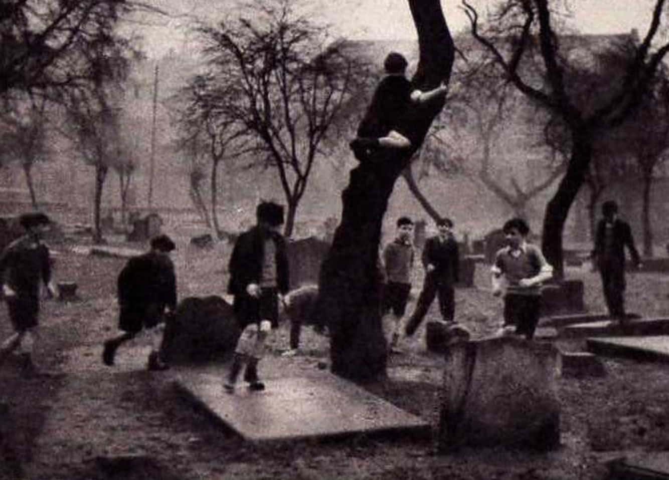 This Made Me Believe