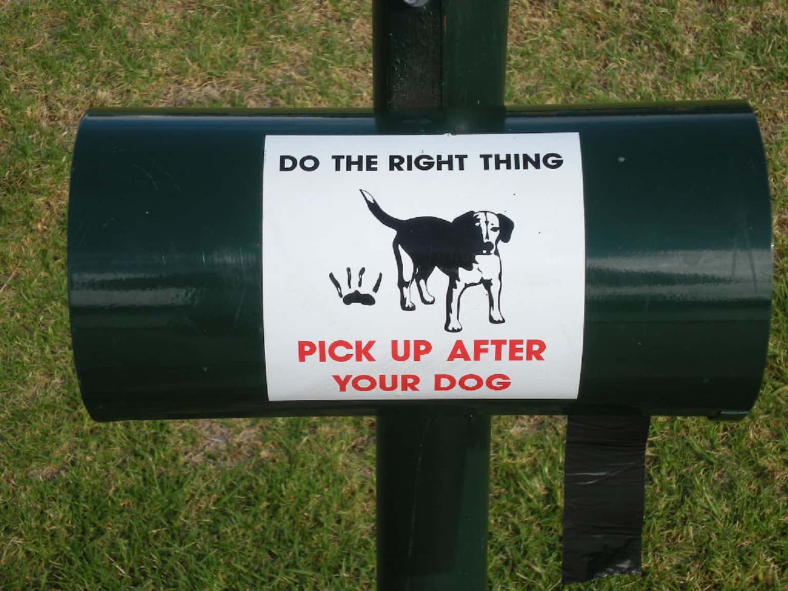 The Most Humiliating Moments