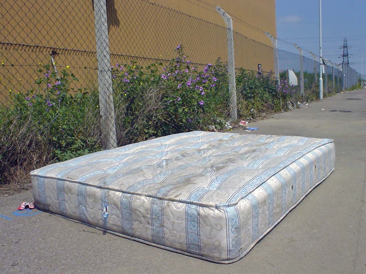 Entitled Spouses Exposed