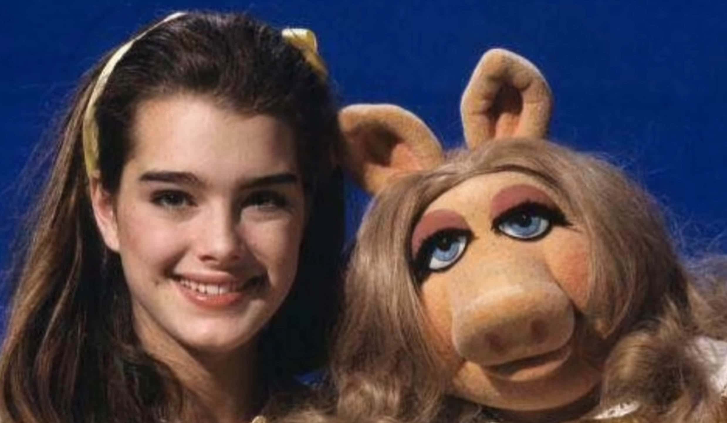 Brooke Shields Facts