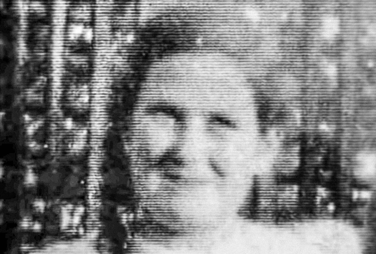 Dusty Springfield facts