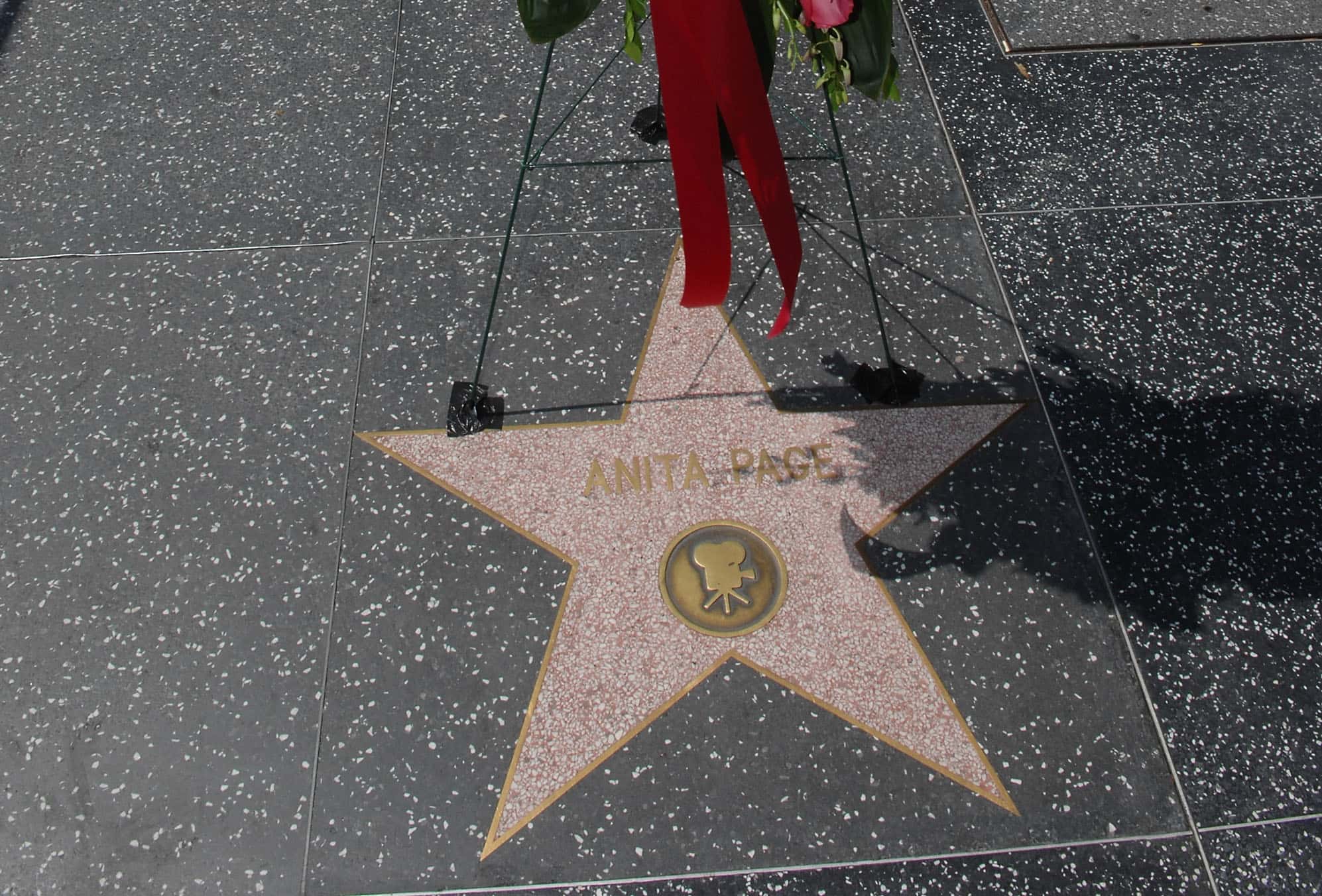 Anita Page facts