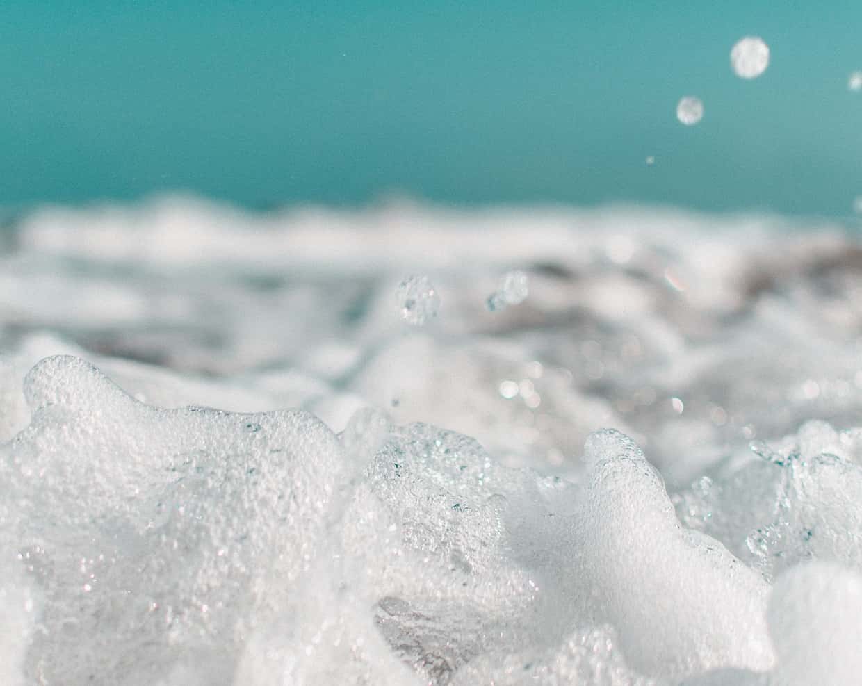 The Craziest Roommates