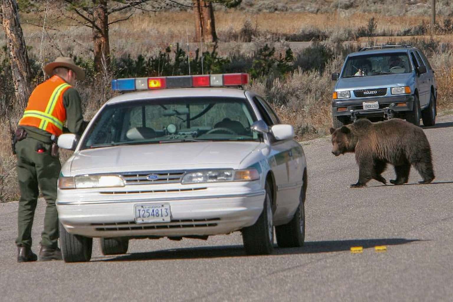 Unforgettably Creepy Moments