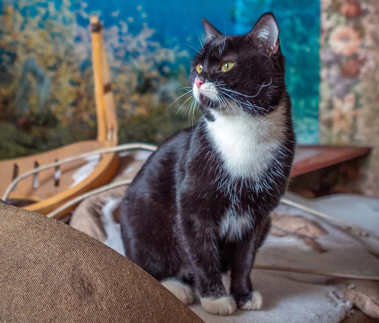 Blood-Curdling Paranormal Tales