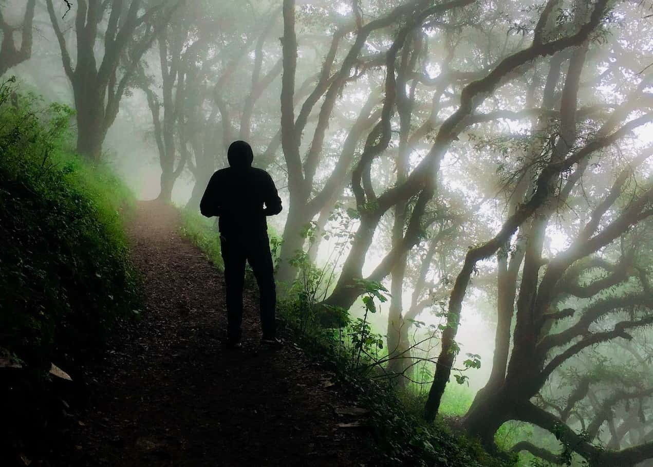 The Creepiest Paranormal Experiences